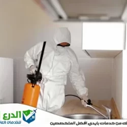 شركة مكافحة حشرات فى الشارقة