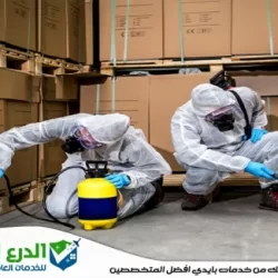 شركة مكافحة حشرات في دبي