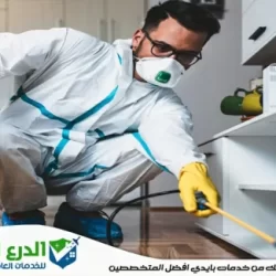 شركة مكافحة حشرات في دبي