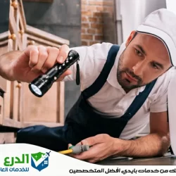 شركة مكافحة حشرات في راس الخيمة