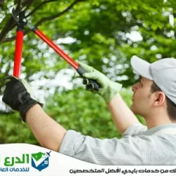 شركة تنسيق حدائق في الشارقة