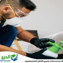 أرخص شركة مكافحة حشرات في الفجيرة