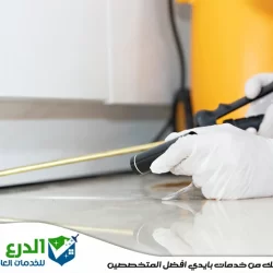 شركة مكافحة الصراصير في دبي