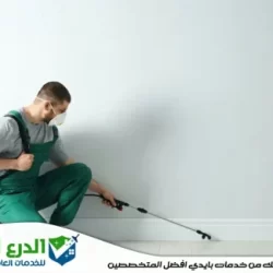 رش الصراصير في دبي